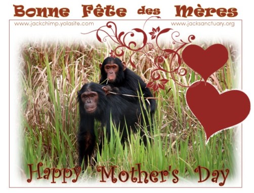 bonne fête des mères