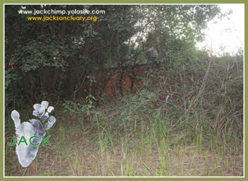 Capture plein écran 10062015 072047