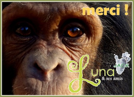 2015.03 - luna.fr-001