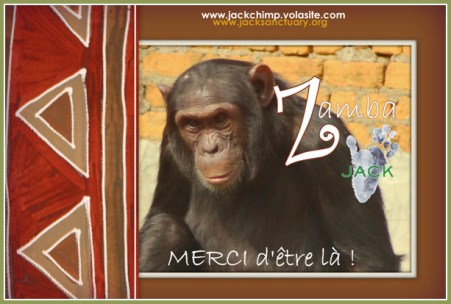 Capture plein écran 02092015 053918