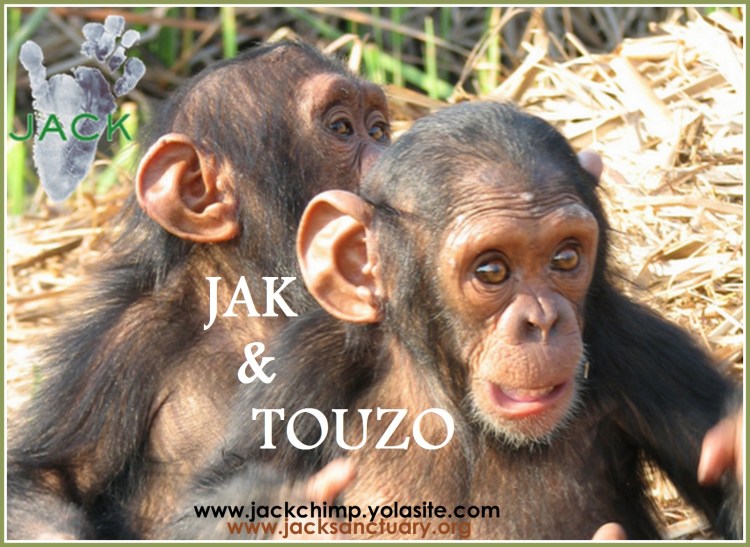 JAK &amp; TOUZO