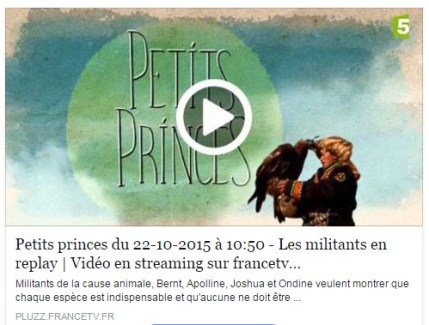 petits princes 2