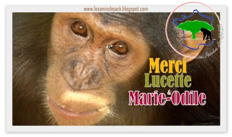 Capture plein écran 21112015 075059