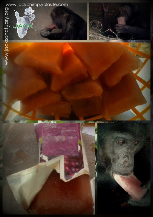 glaçons anonymous-001