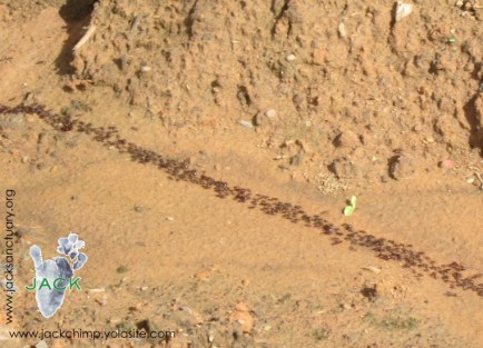 Capture plein écran 24032016 110042