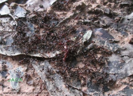 Capture plein écran 24032016 110137