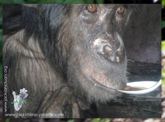 Captures d'écran108-002