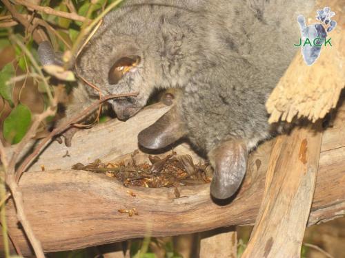 13413173_511442575711126_7504609858060153483_n