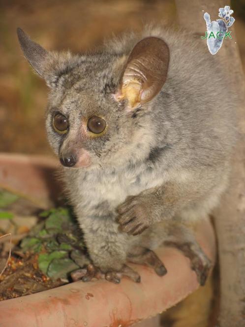 13450051_511442565711127_4871107693667711500_n