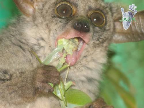 13450825_511442299044487_8777115412624637789_n