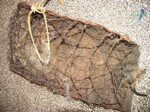 13450948_511442422377808_8184912810981493526_n