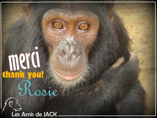 ROSIE merci