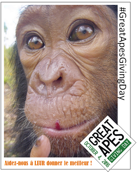 capture-plein-ecran-15092016-053623