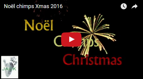 capture-plein-ecran-29122016-182311