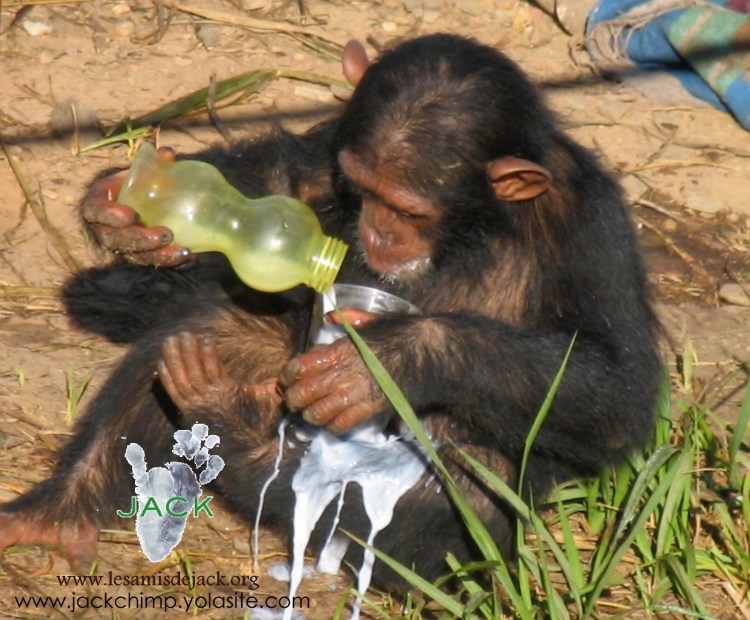 jmen-mets-de-partout