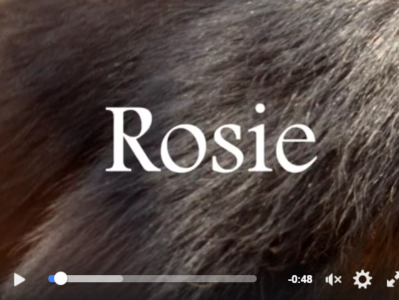 capture-plein-ecran-10022017-193321