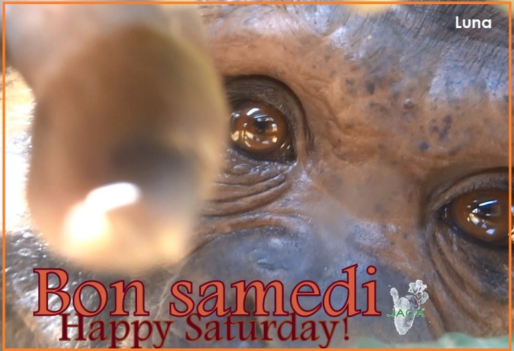 capture-plein-ecran-30112016-053451