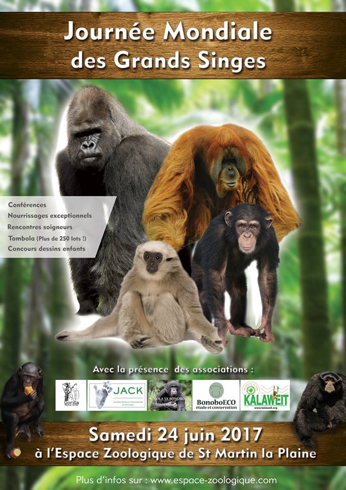 18556997_1528357840518134_7361504116810756243_n