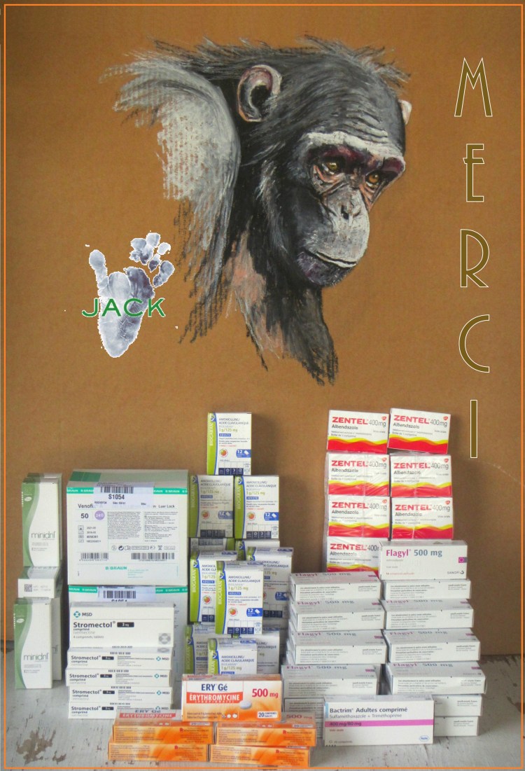 IMG_0369 - Copie-001