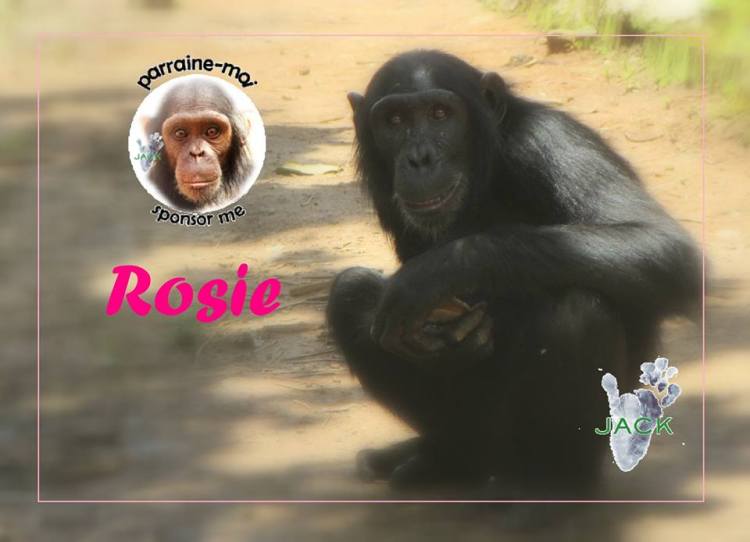 36064439_836261713229209_1051800227654139904_n