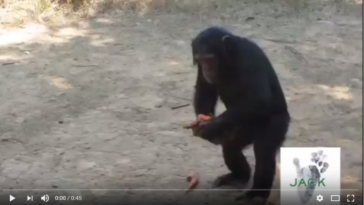 Capture plein écran 25072018 164546