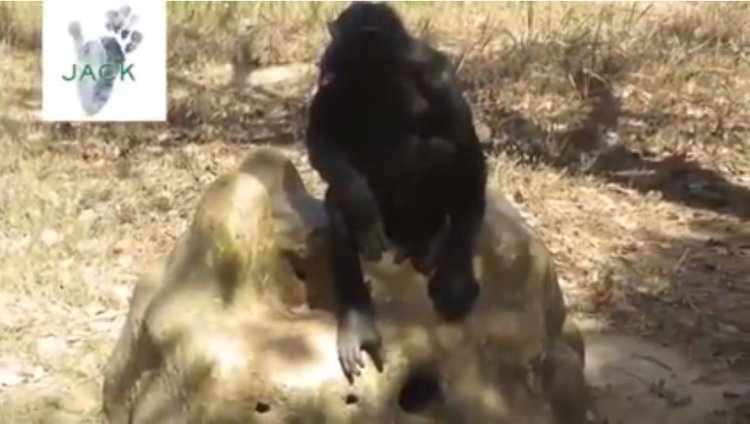 Capture plein écran 27072018 063732