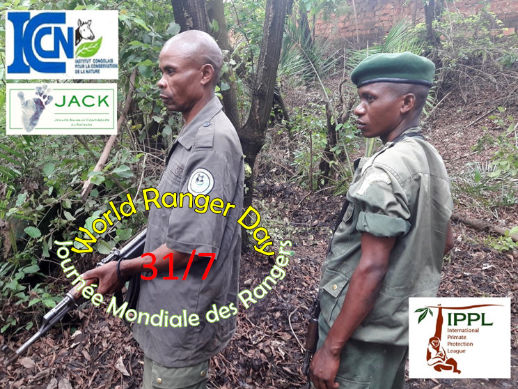 Capture plein écran 31072018 181541