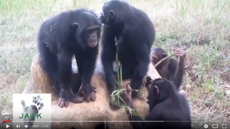 Capture plein écran 08082018 171828