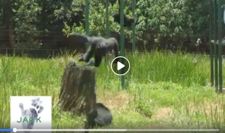 Capture plein écran 08082018 173523