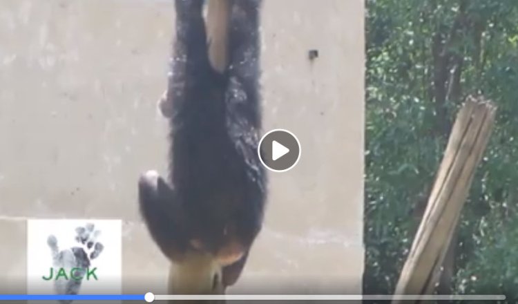 Capture plein écran 08082018 173550