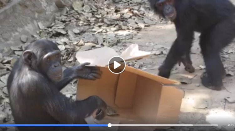 Capture plein écran 09082018 175941