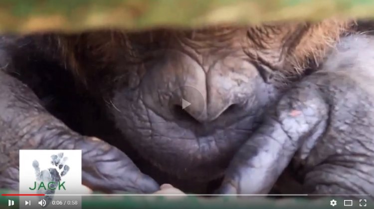 Capture plein écran 10082018 170856