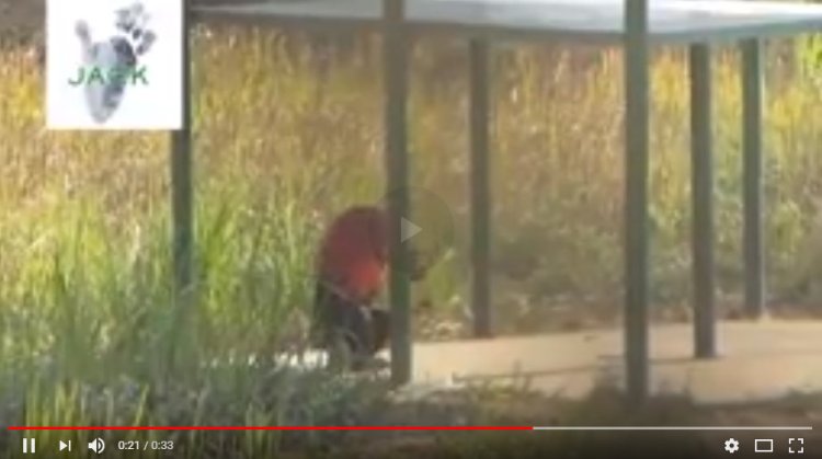 Capture plein écran 11082018 153546