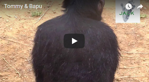 Capture plein écran 12082018 173135