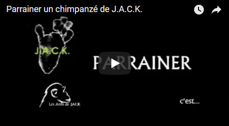 Capture plein écran 13082018 174603