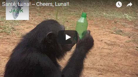 Capture plein écran 14082018 163637