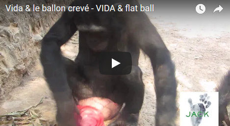 Capture plein écran 15082018 170040