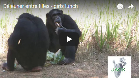 Capture plein écran 16082018 105747