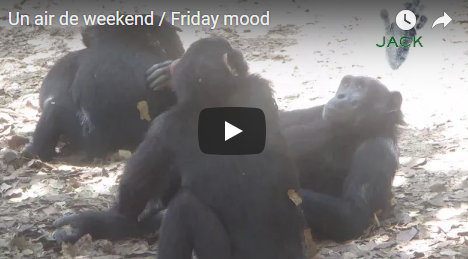 Capture plein écran 24082018 170357