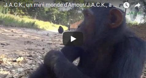 Capture plein écran 25082018 185306