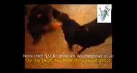 Capture plein écran 26082018 180958