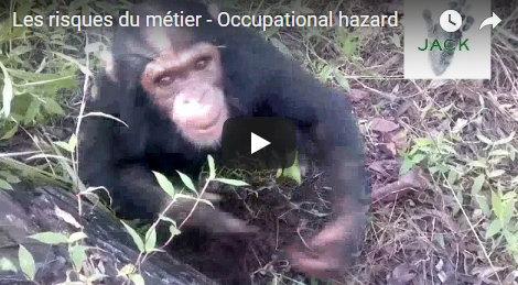 Capture plein écran 27082018 170158