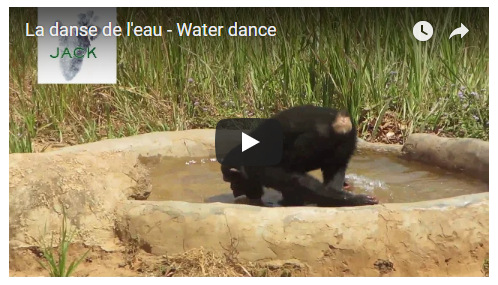 Capture plein écran 30082018 160144