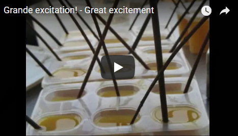 Capture plein écran 02092018 192417