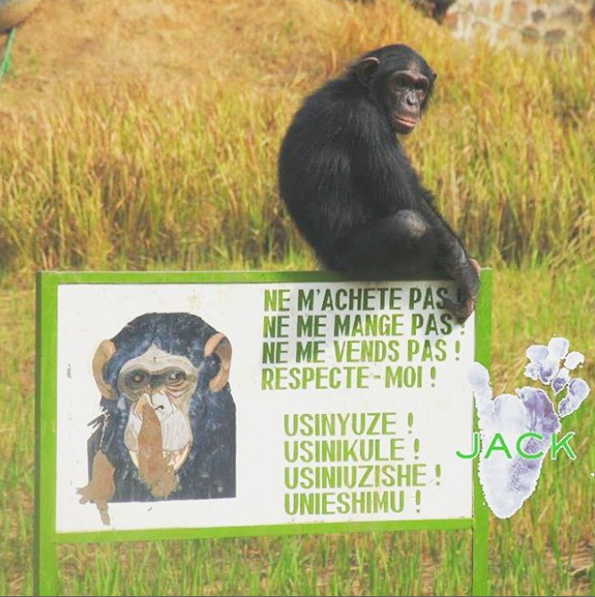 Capture plein écran 05062018 134338