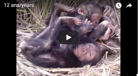 Capture plein écran 05092018 172043