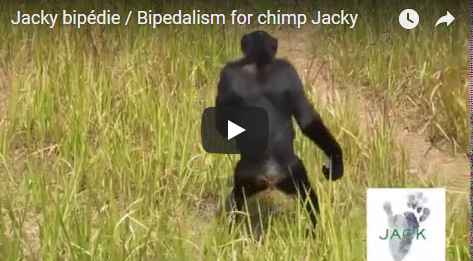 Capture plein écran 13092018 185652