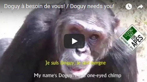 Capture plein écran 15092018 173400