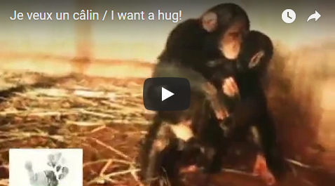 Capture plein écran 19092018 184317