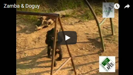 Capture plein écran 20092018 184805